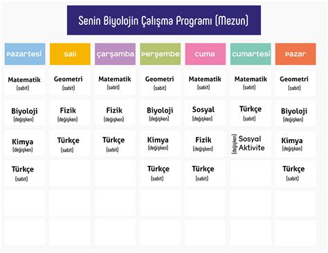 TYT ve AYT İçin En İyi Ders Çalışma Programları